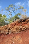 Waimea Canyon